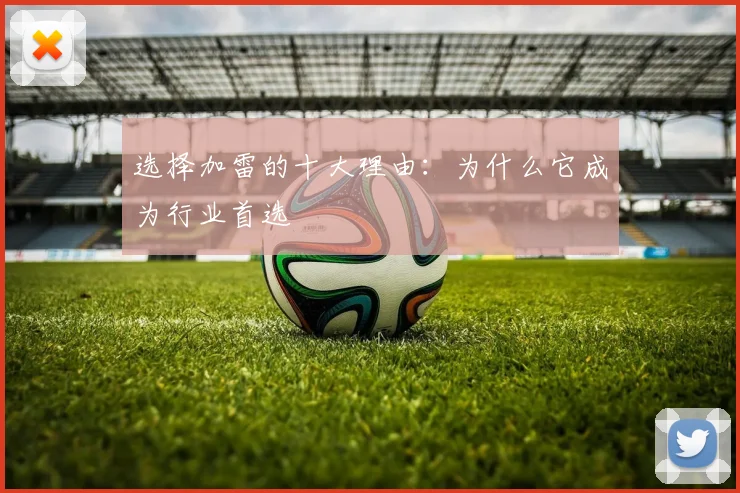 选择加雷的十大理由：为什么它成为行业首选