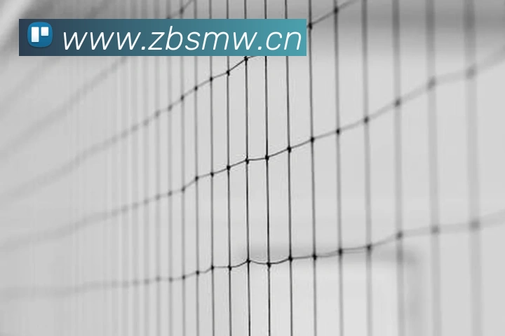 开云足球.中国品牌故事